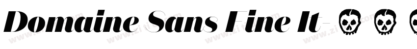 Domaine Sans Fine It字体转换